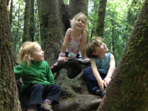 Kids in Trees
